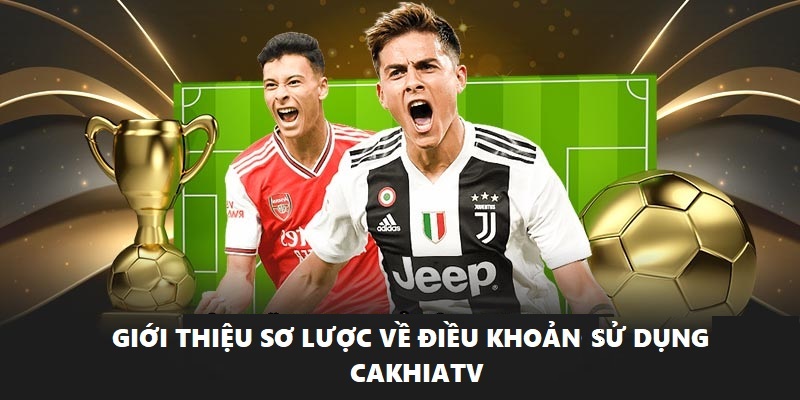 Điều khoản sử dụng cakhiatv mang đến trãi nghiệm an toàn
