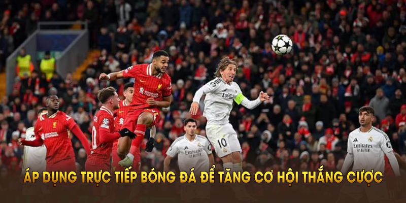 Xem bóng khi đã lăn là đều không thể thiếu của bet thủ