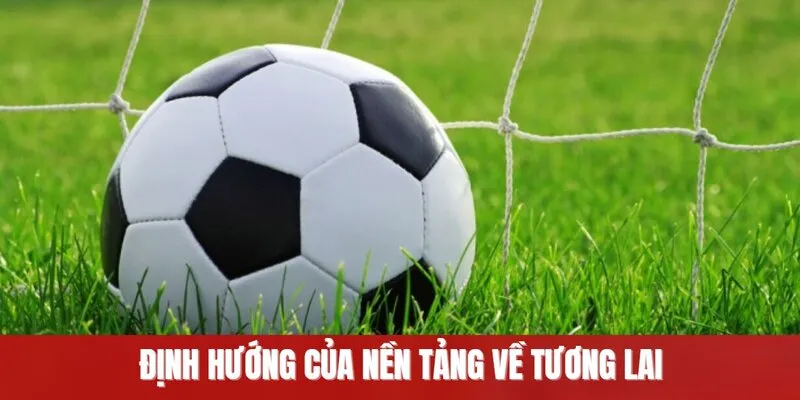 Định hướng của nền tảng về tương lai